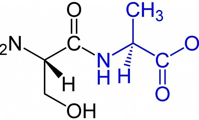 A History of Peptides Used In Research