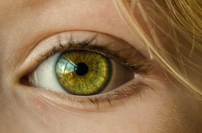 Not to Be Overlooked! The Importance of Eye and Vision Care