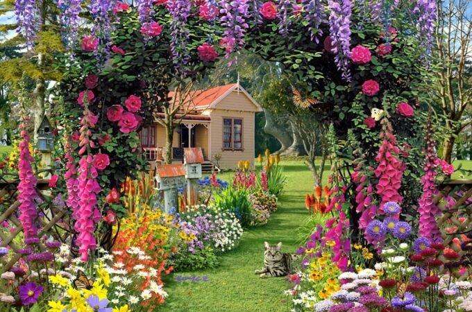 Tips for Growing Flowers in Summers