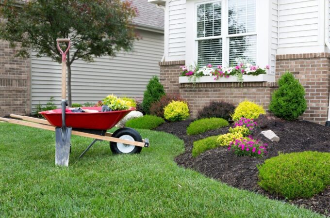 How to Start Landscaping Your Yard: The Best Tips and Ideas