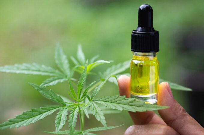 How Long Does CBD Oil Really Stay in Your System?