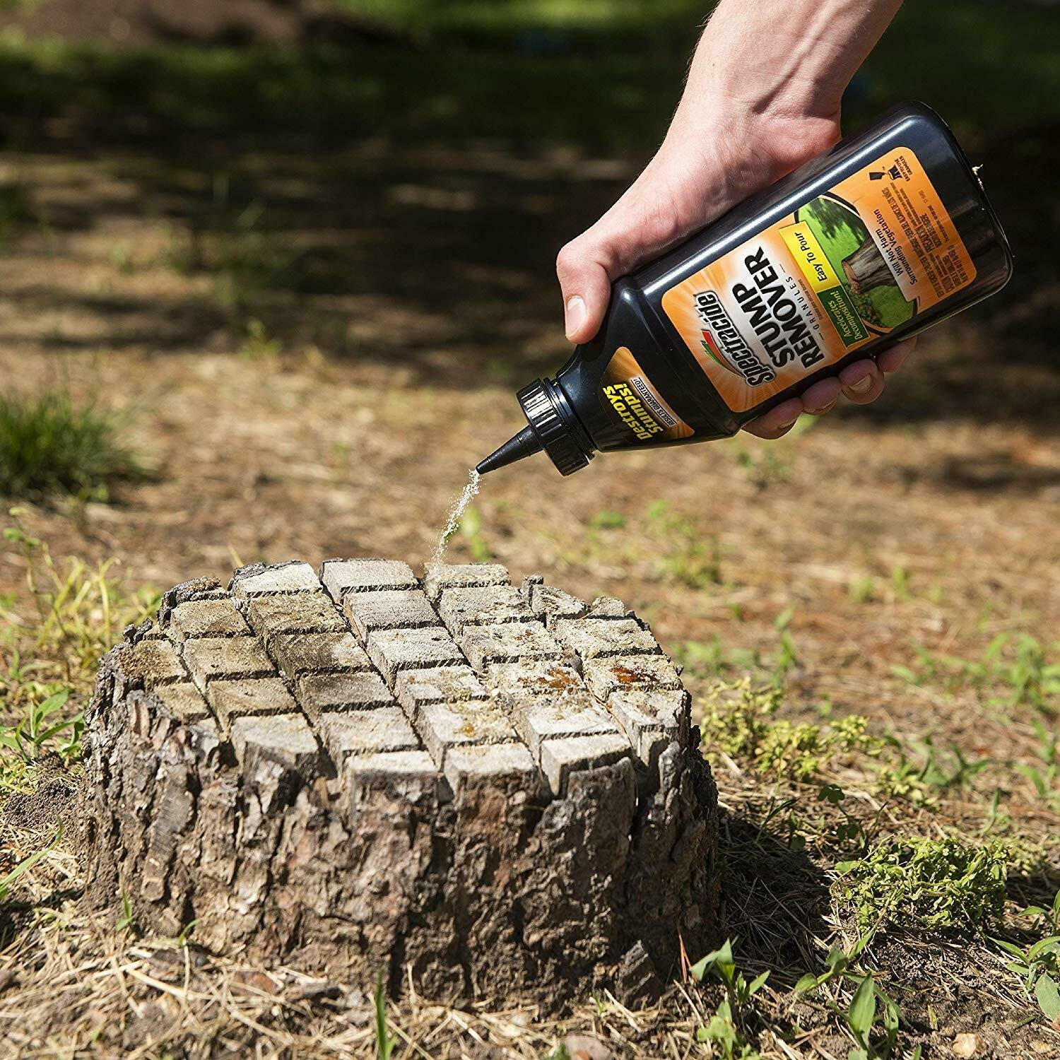 Grinding Stumps Vs Other Methods