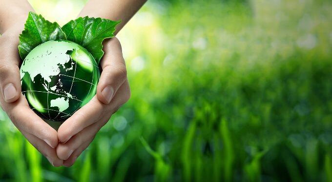 5 Fun Programs in the UAE that Promote Environmental Responsibility
