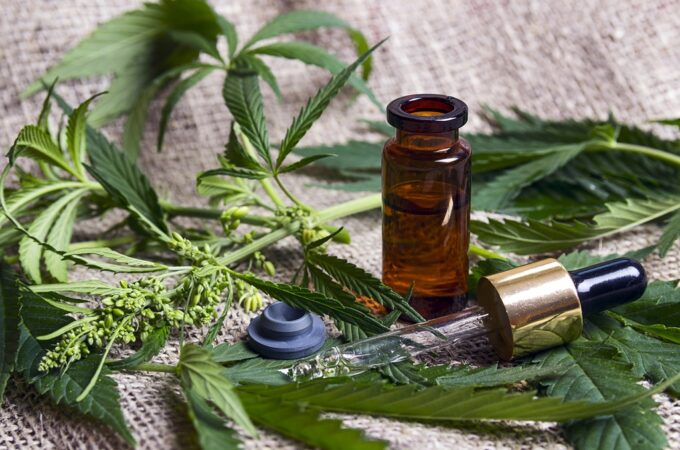 How CBD Oil Works In Your Body To Provide Pain Relief