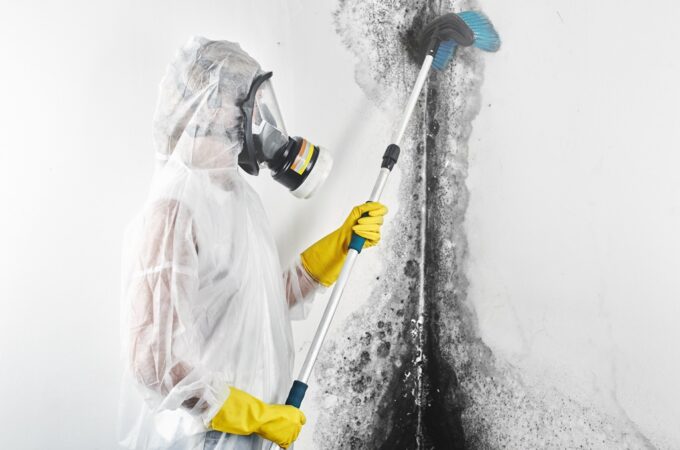 Home Care: 4 Signs Your Home Is In Need Of Mold Remediation
