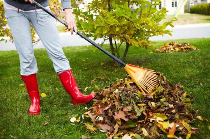 6 Hacks To Rake The Leaves For A Spotless Lawn