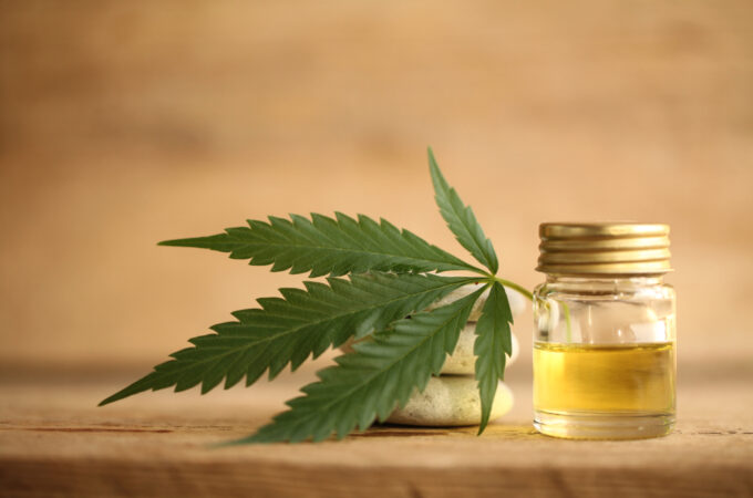 Why You Should Choose CBD Oil Over Other Formats