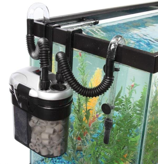 More About Canister Filters Versus Power Filters For Aquariums