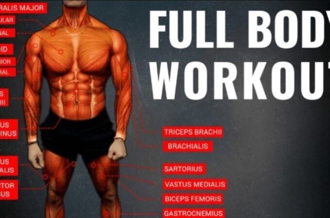 Full Body Workouts for Men to Get Ripped