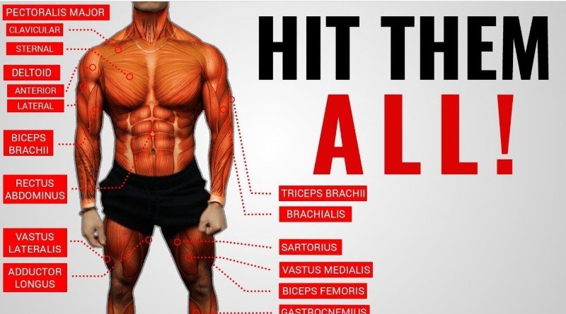 Full Body Workouts For Men To Get Ripped full-body-workouts-for-men-to-get-ripped