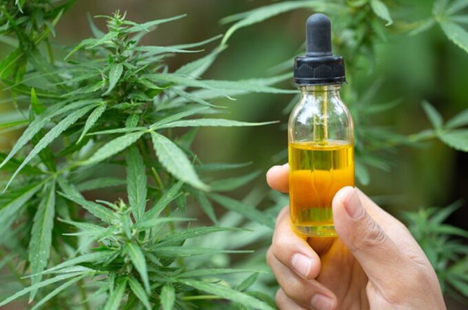 Does CBD Oil Help With Pinched Nerve Pain?