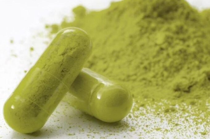 The History and Uses of the Emerging Miracle Drug Kratom