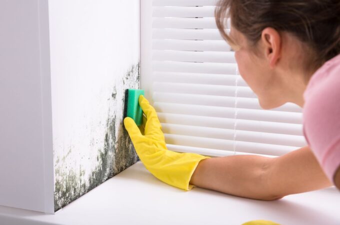 Tips to Get Rid of Mold From Every Home Surface