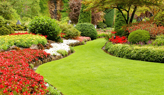 Top Reasons Why Regular Lawn Care Maintenance Should be Your Priority