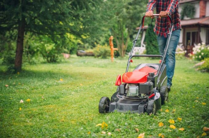 Mistakes to Avoid When Choosing a Lawn Mower