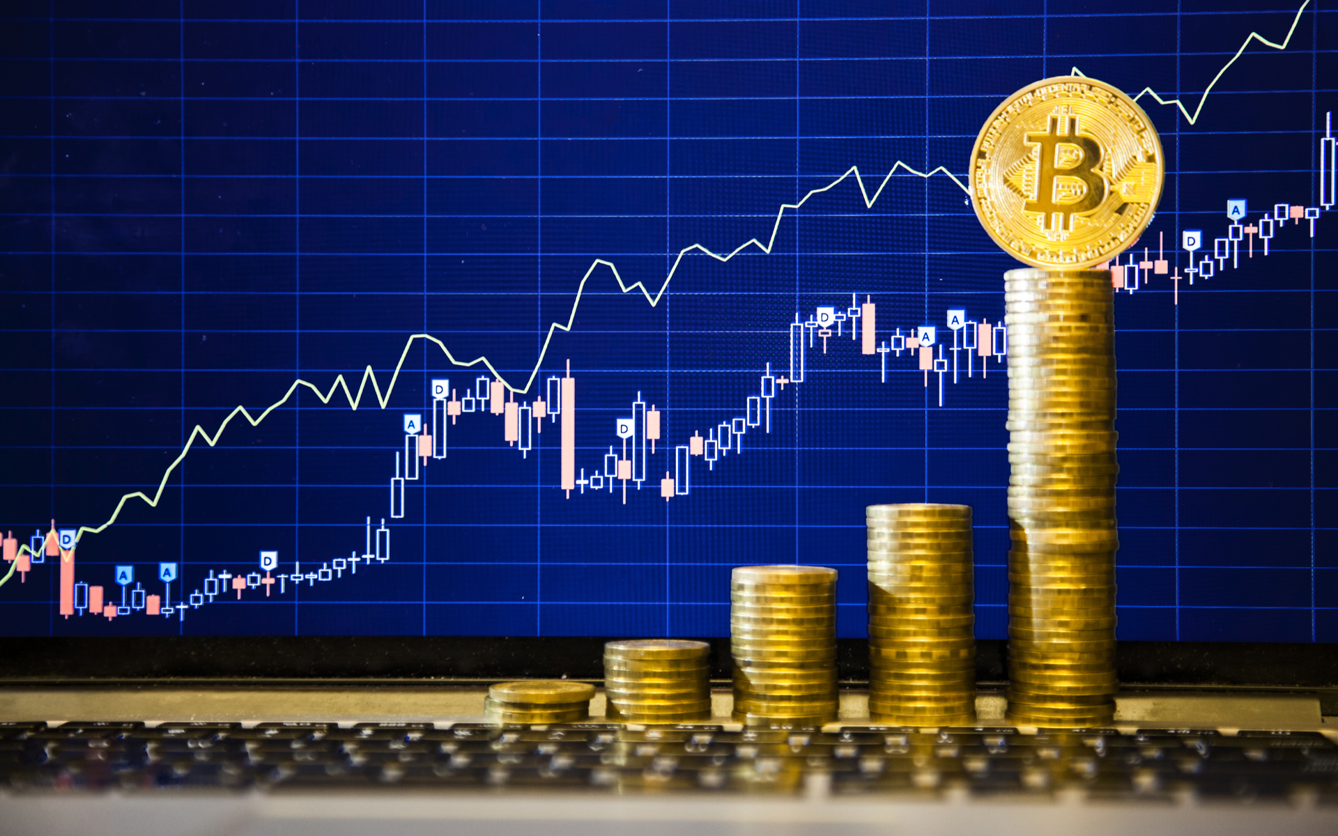 Here is a Complete Guide to Bitcoin Investing for Novice Investors