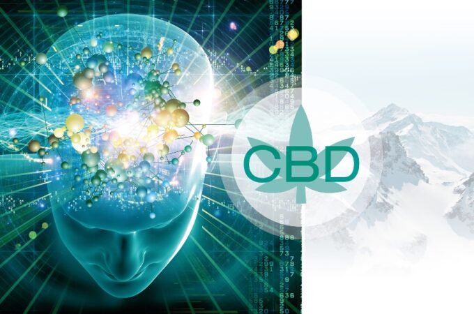 What You Need To Know About CBD