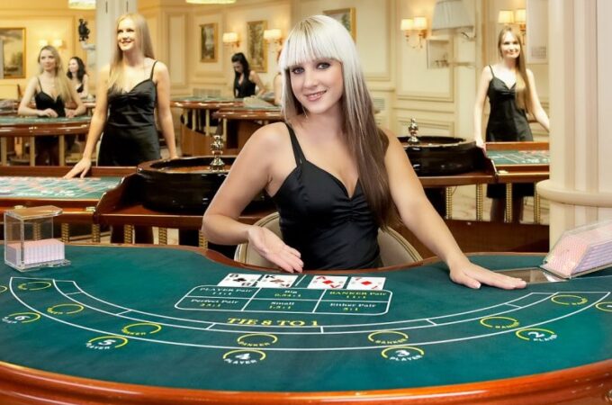 Look for Live Casinos Here
