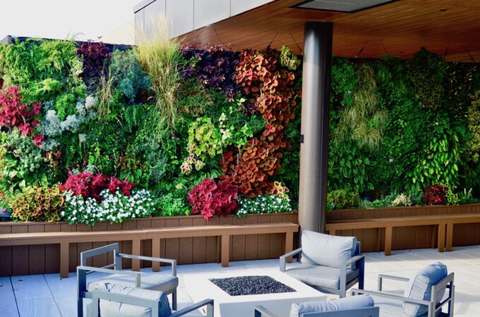 What are The Benefits of Living Green Walls?
