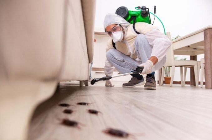 How to Choose a Pest Control Company You Can Actually Trust