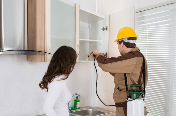 What to Consider When Hiring a Pest Control company