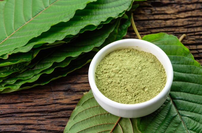A Guide to White Vein Kratom