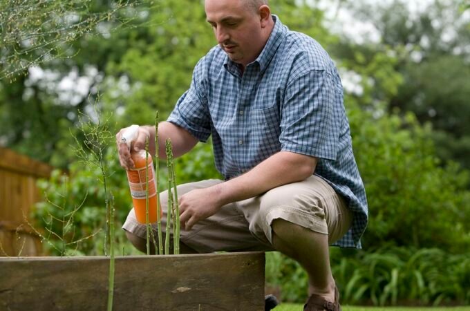 Is It Safe to Use Pesticides Around Your Home and Garden?