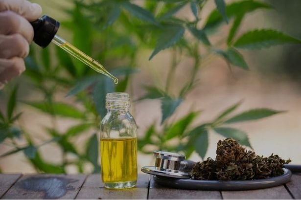 How to Use CBD Oil for Weight Loss