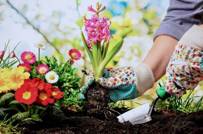 Tips and Tricks to Achieve Pro Gardening Skills