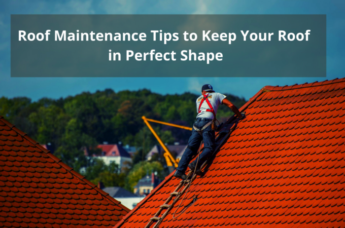 Best Roof Maintenance Tips to Keep Your Roof in Perfect Shape