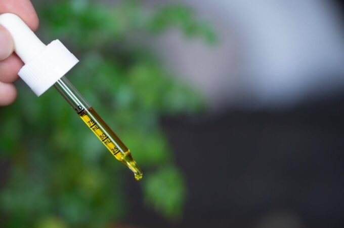 4 Facts You Need To Know About CBD Oil For Horses