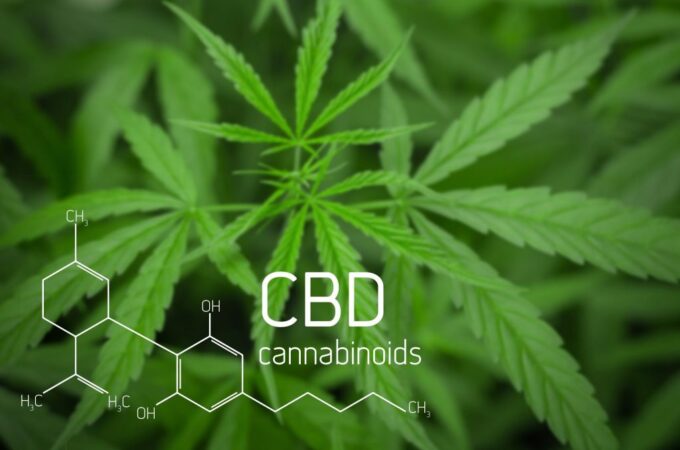 CBD OIL FOR PAIN: NERVE PAIN, ARTHRITIS, CANCER AND MORE:-