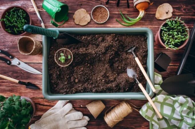 Composting 101: Everything You Need to Know to Start Composting at Home