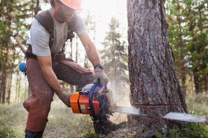 Pole Saw Cutting Techniques