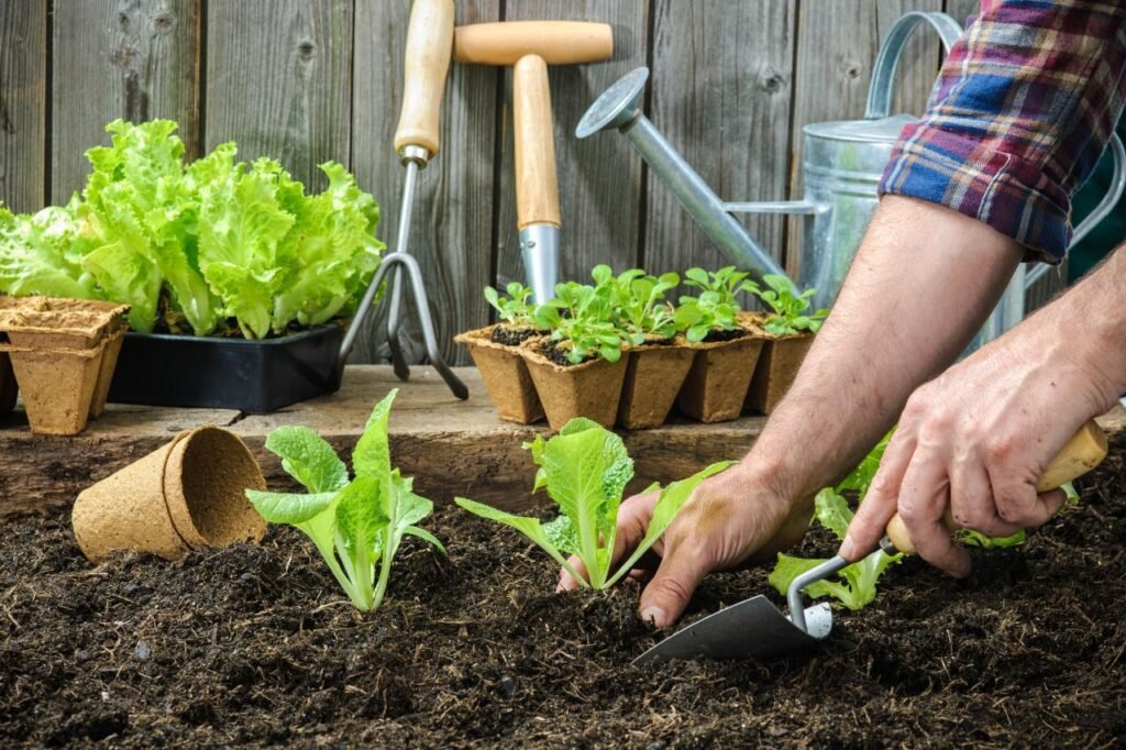 When Is the Best Time to Start a Garden? A Beginner Gardener's Guide