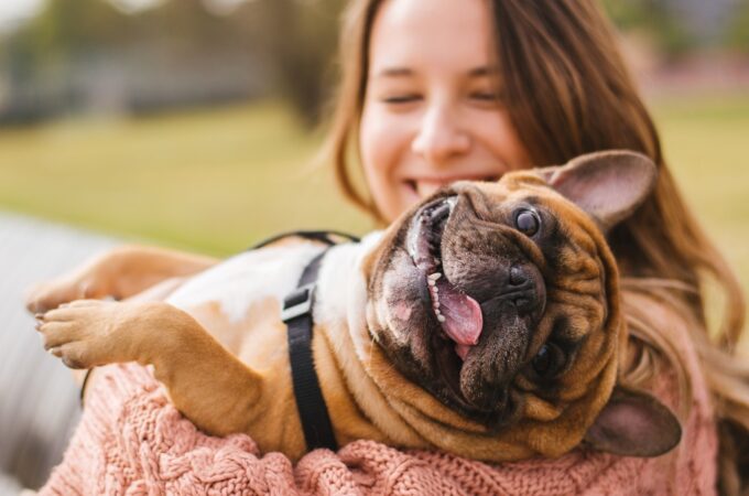 5 Ways To Help Improve Your Pets Quality Of Life