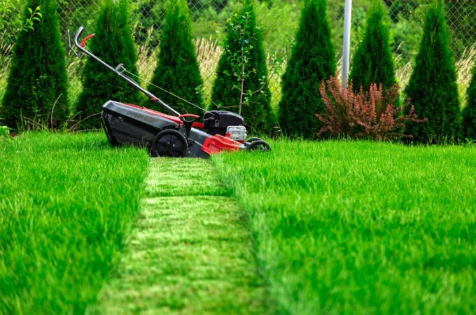 Types of Clients for Your Lawn Care Services