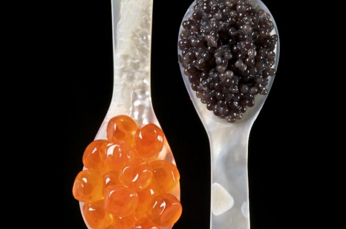 What Would Caviar be able to add to Nutritionally?