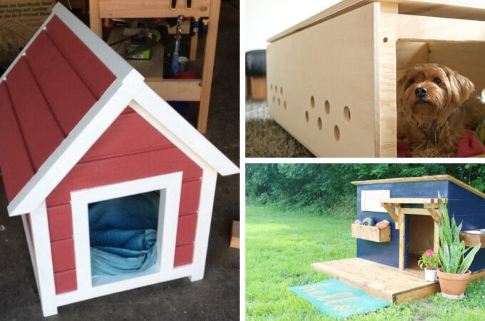 Dog House Designs to Make Your Furry Friend Feel At Home