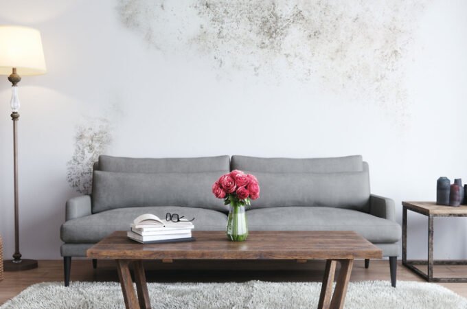 6 Signs Damp Needs Fixing In Your Property