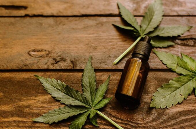 Introduction to CBD: What You Need to Know