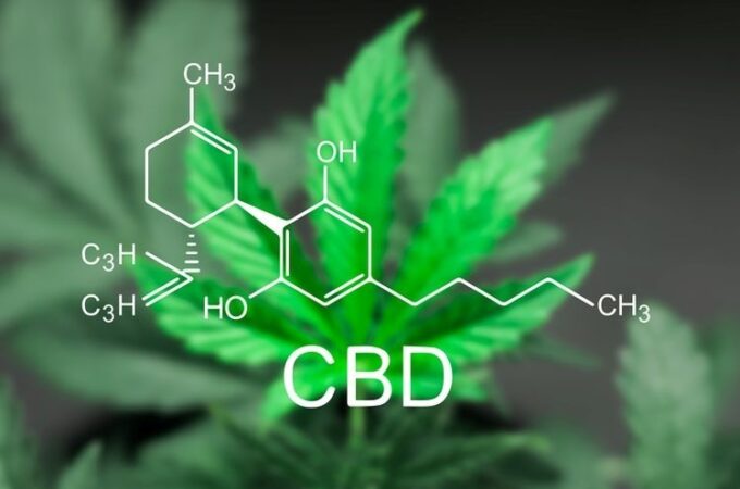 What is CBD? All You Need to Know