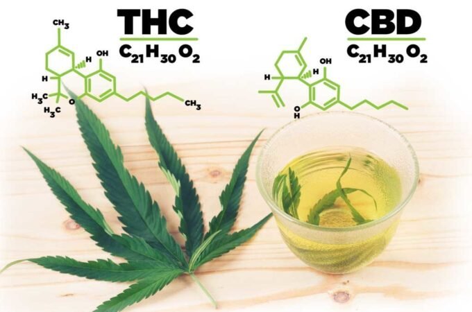 What to Look for When Buying Hemp and CBD Products