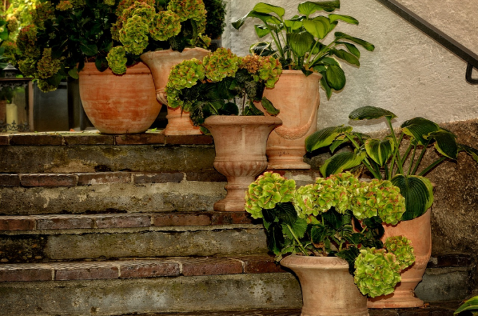 Making the Most of Large Planters