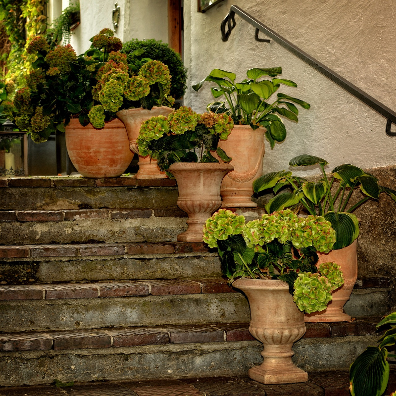 Making the Most of Large Planters