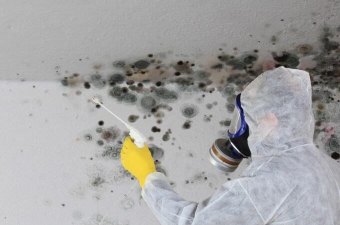 4 Sure Signs of Mold in Your Home