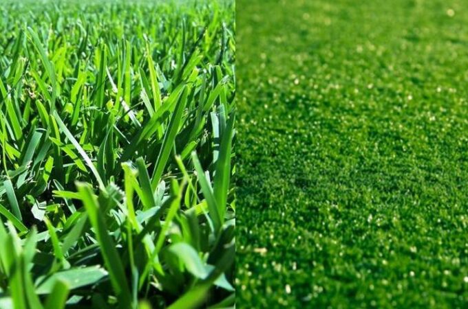 How Artificial Grass Is Superior to Natural Grass