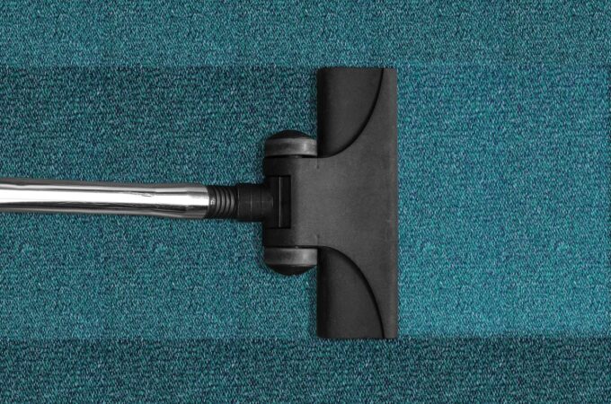 What Might Be Lurking In Your Carpet