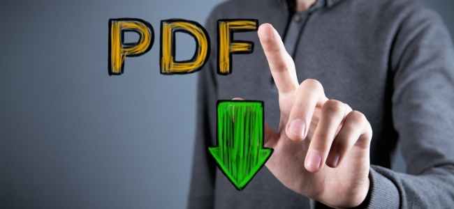 How to Download a Bank Statement in PDF Format?