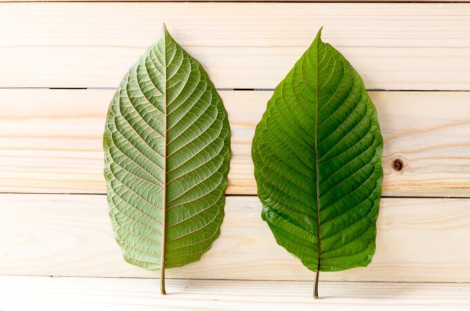 What Is Kratom and How Does It Affect You?